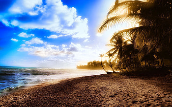 Nature, Sky, Sun, Clouds, Beach, Palms, Shore, Bank, Shine, Light, Heat HD wallpaper