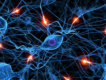 Artistic - Anatomy HD wallpaper