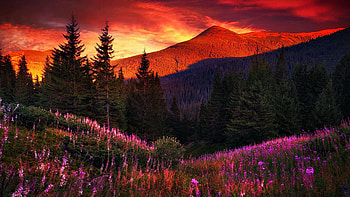 Red clouds over Carpathians hills, mountain, Romania, trees, colors, landscape, clouds, sky HD wallpaper