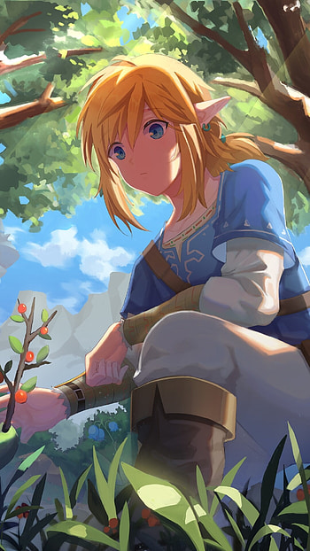 The Legend of Zelda: Breath of the Wild, Epic video game HD phone wallpaper