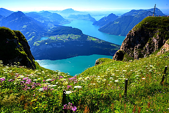 Spring, Coast, , Landscape, Coastline, , Flower, Mountain HD wallpaper