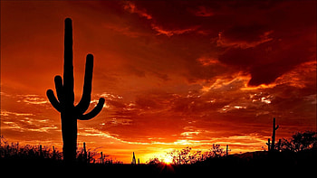 GORGEROUS OLD WEST, OLD, YELLOW, DESERT, WEST, SUNSET, BRIGHT, CACTUS, RED HD wallpaper