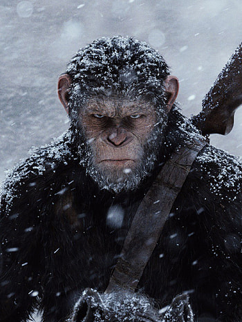 Planet of the Apes, War film, for and mobiles HD phone wallpaper