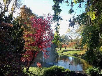 Sefton Park Liverpool Autumn Time, colors of trees, water, blue sykes, lake HD wallpaper