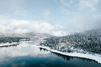 Bass Lake Usa, lake, nature HD wallpaper