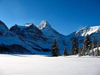 Mt. Assiniboine, trees, sky, snow, mountain HD wallpaper