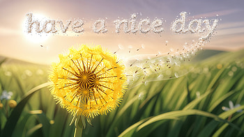 Sunlit Dandelion — Have a Nice Day ( ) HD wallpaper