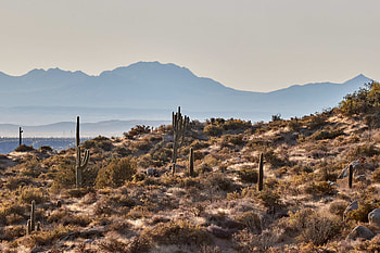 Landscape, Nature, Cactuses, Mountains, Rocks HD wallpaper