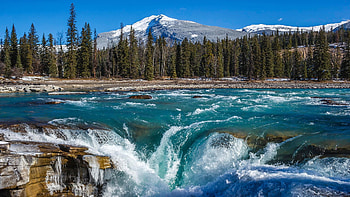 Athabasca River and Waterfall, Jasper NP, Alberta, canada, stream, landscape, trees, mountains, forest HD wallpaper