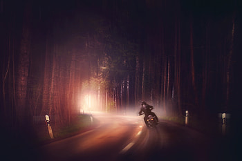 Biker In Woods Dark Road Digital Art, bikes, artist, motorcycle, digital-art, artwork HD wallpaper