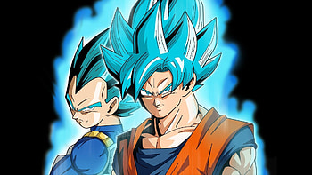 Goku and Vegeta Super Saiyan Blue DB... HD wallpaper