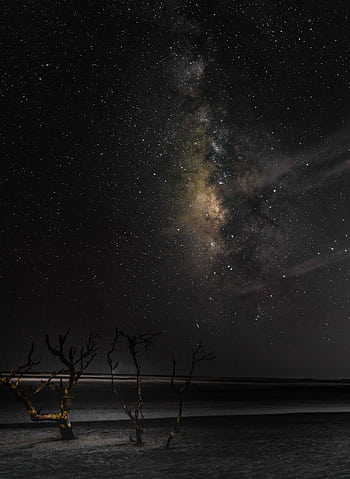 Capture of the Milky Way over Folly Beach, SC, showcasing a starry night sky with dramatic landscape foreground. HD phone wallpaper