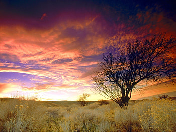 Landscape, Trees, Sunset HD wallpaper