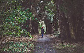Nature, Miscellanea, Miscellaneous, Forest, Girl, Loneliness HD wallpaper