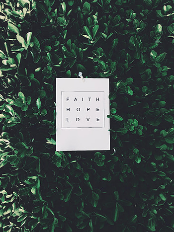Leaves, Words, Inscription, Paper HD phone wallpaper