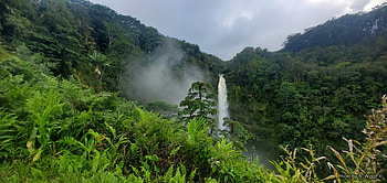 Akaka Falls, Hawaii (The Big Island), Clouds, Mist, Green, Hawaii, Forest, Akaka, Waterfall HD wallpaper