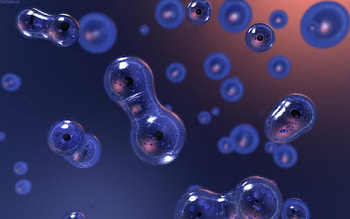 The Division, 3d, cells, split, bubbles, divide HD wallpaper