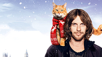 Street Cat Bob movie, Bob the cat, Fanart, Movies HD wallpaper