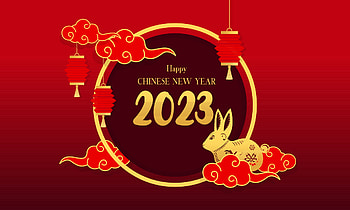 Year of the rabbit, holiday, Chinese New Year HD wallpaper