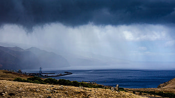 Madeira travels, Vibrant , Posted by John Johnson HD wallpaper