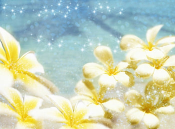 Golden Flowers, sunshine, frangipani, flowers, sparkles HD wallpaper