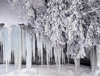 winter embroidery, winter, stalactites, white, ice HD wallpaper