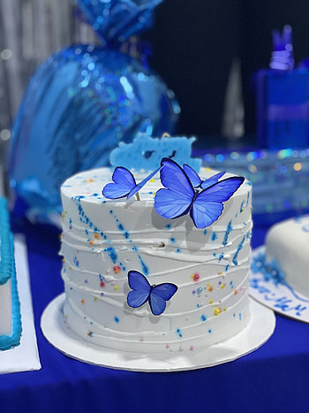 Cake, blue, butterfly HD phone wallpaper