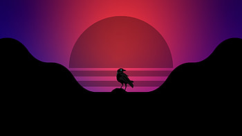 Crow bird, synthwave, silhouette HD wallpaper