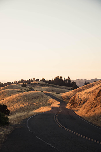 Nature, Grass, Road, Car, Machine, Dry HD phone wallpaper