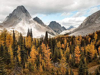 Autumn In The Rockies, autumn, nature HD wallpaper