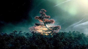 The Shannara Chronicles Tree, the-shannara-chronicles, tv-shows HD wallpaper