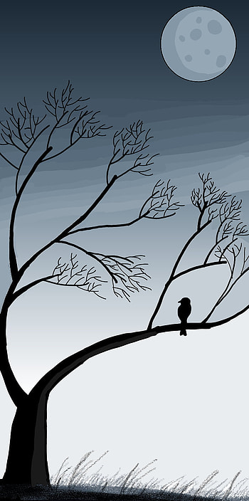 Night, art, moon, moon night, owl, dark night, dark, birds, trees HD phone wallpaper