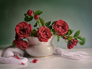 still life 1, art , still life, white vase, red roses, nature, nice HD wallpaper