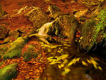 Autumn is the mistress, slope, fall, colors, autumn colors, autumn, nature HD wallpaper