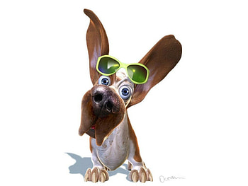 Cool Doggy, dog, cool, fantasy, sunglasses HD wallpaper
