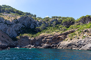 Nature, Trees, Sea, Rocks, Coast HD wallpaper