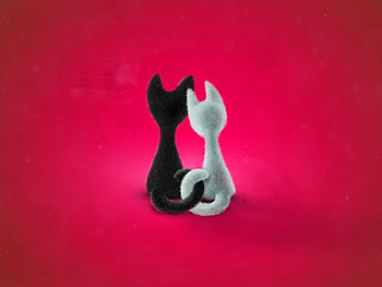 For Joanne -Catwoman 8277, two, white, black, cats, red background, friends HD wallpaper