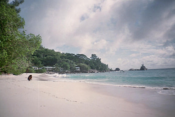 AnseSoleil, landscape, nature, beach HD wallpaper