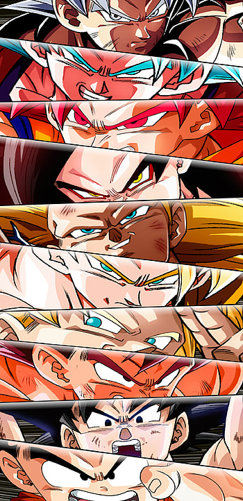 Goku fases, Saiyan, Kakaroto, Super, Dbs, Dbgt, Dbz HD phone wallpaper