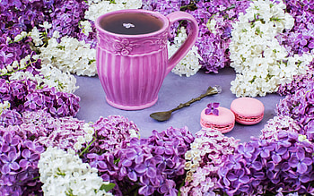 Teatime with Lilacs, flowers, cakes, teapot, blossoms, still life HD wallpaper