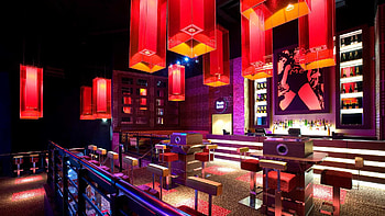 Night Club HD wallpaper