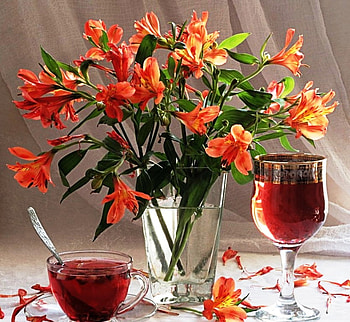 Harmony, ruby, color, graphy, vase, naturally, beautiful, arrangement, cup, petal, still life, glass, flowers HD wallpaper