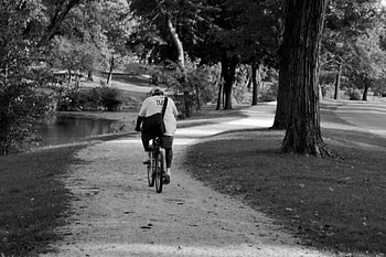 Riding in the park one day, cycling, bicycle, fun park, summer park, park HD wallpaper