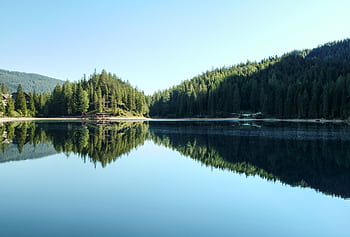 Serene view of a mountain lake with forest reflections and clear blue sky. HD wallpaper
