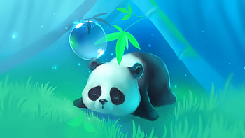 Mesmerizing pandas , Enchanting bear beauty HD wallpaper
