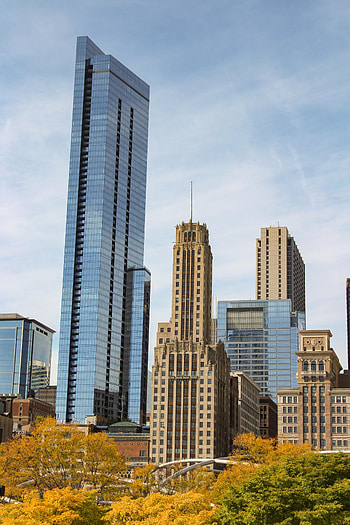 Cities, Trees, Architecture, City, Building, Skyscrapers HD phone wallpaper