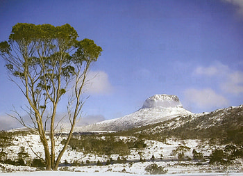 Overland Track in Tasmania Australia, cold, white, wet, snow HD wallpaper