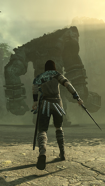 Breathtaking graphy, Atmospheric shots, Colossi encounters, Visual marvel HD phone wallpaper