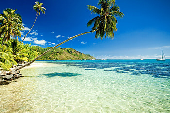 Maui (Hawaii) best hotels, Beach wall murals HD wallpaper