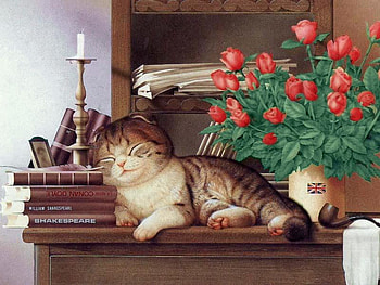 Kitten * By Makoto, sweet, animal, kitten, makoto, book, flower, cat, feline HD wallpaper